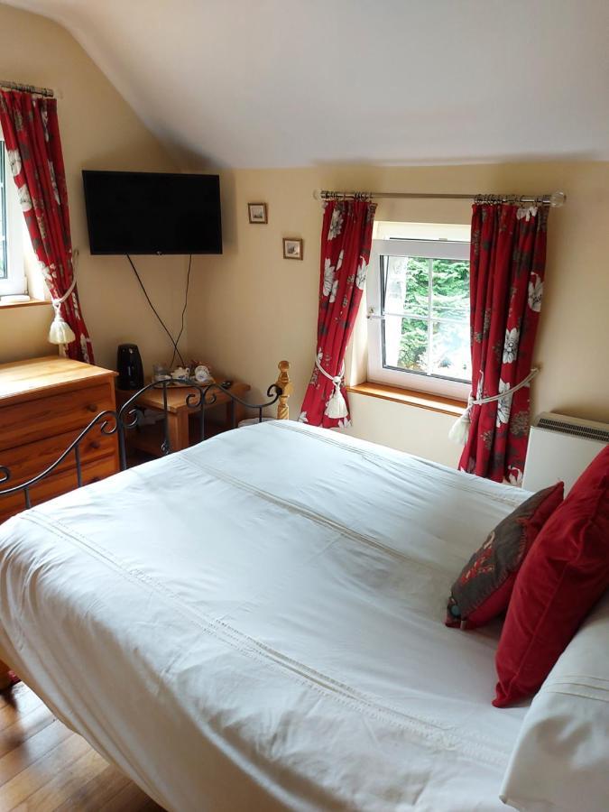 Bryn Sion Farm Villa Dinas Mawddwy Exterior photo